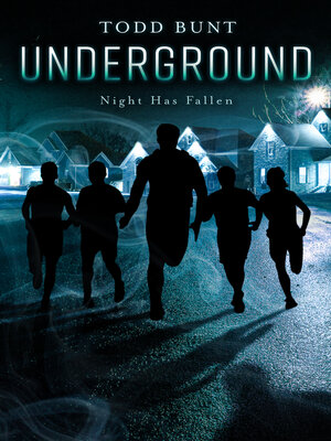 cover image of Underground: Night Has Fallen